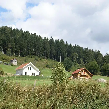 Sunlit Chalet Near Ski Area In Gerardmer Chalet *