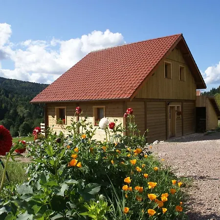 Sunlit Chalet Near Ski Area In Gerardmer Gérardmer