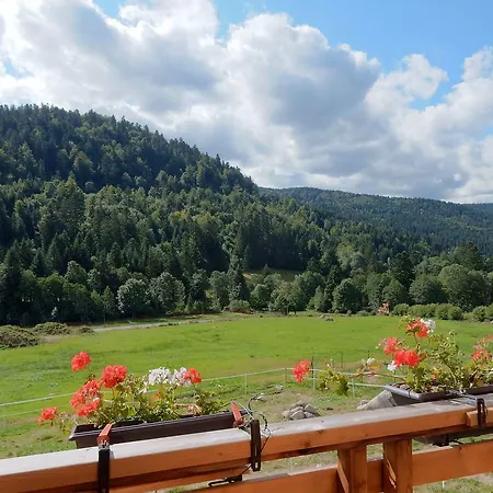 Chalet Sunlit Chalet Near Ski Area In Gerardmer